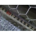 5/8 &quot;Hexagonal Wire Netting / Chiicken Wire Mesh